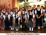 The future of the Danube Swabian culture (40 years "Dachverband Donauschwaben")