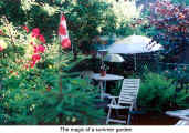 The magic of a summer garden