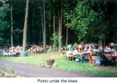 Picnic under the trees (Burgenlander picnic)