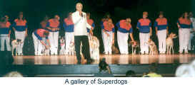 A gallery of Superdogs