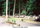 A picnic in an idyllic setting (Burgenlaender Picnic)
