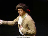 Dion Mazerolle as Figaro