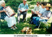 Im schnsten Wiesengrunde... (Photo: ege)